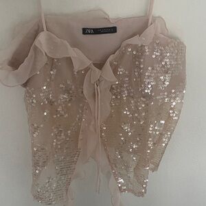Zara Blush Sequin Top